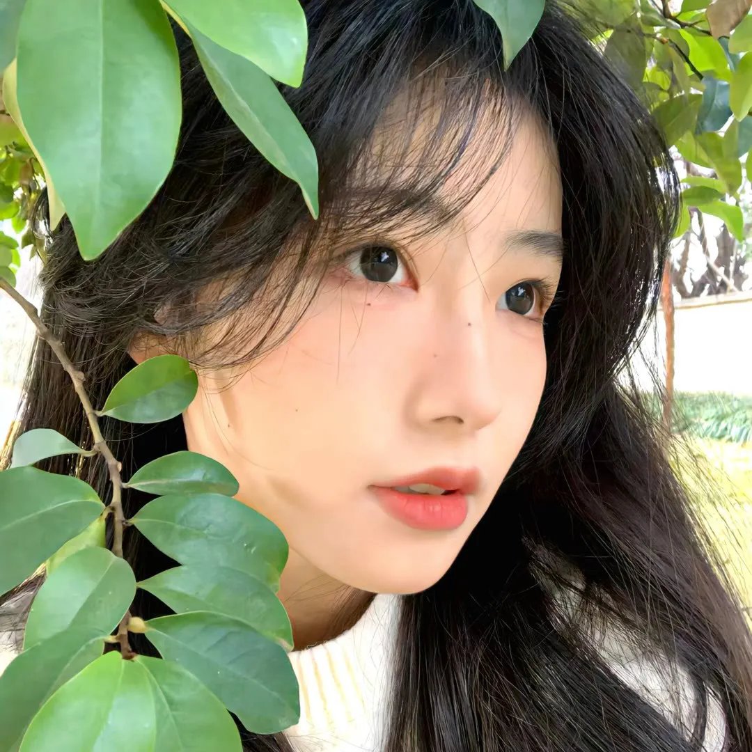 惨雨第二季